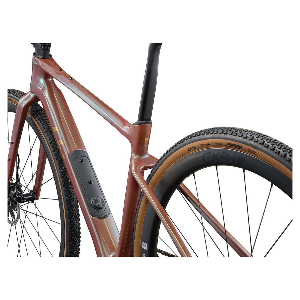 Liv 2026 Devote Advanced Pro