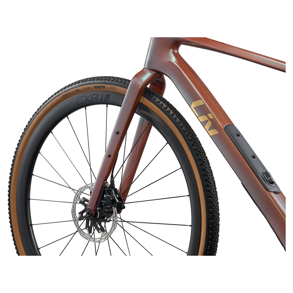 Liv 2026 Devote Advanced Pro