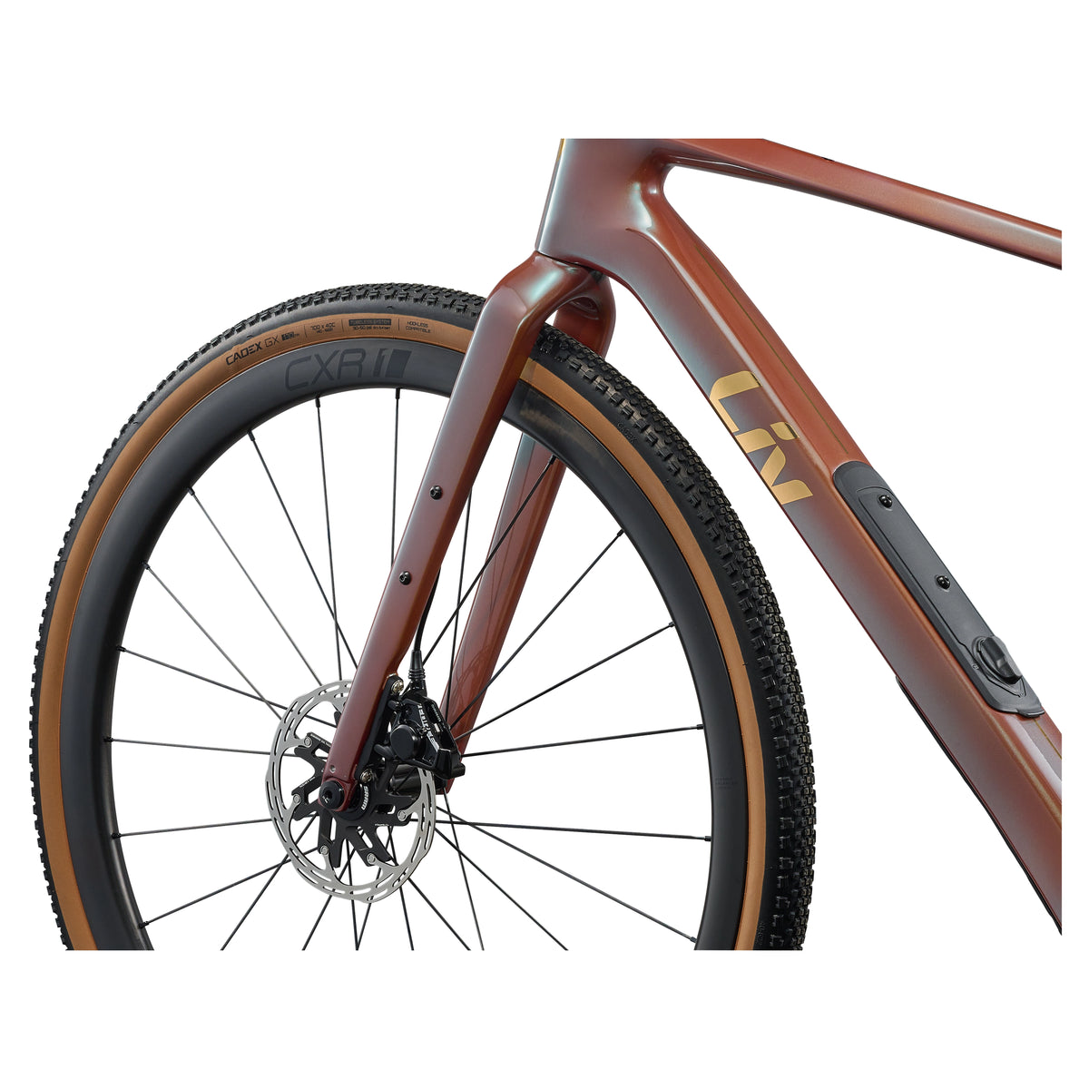 Liv 2026 Devote Advanced Pro