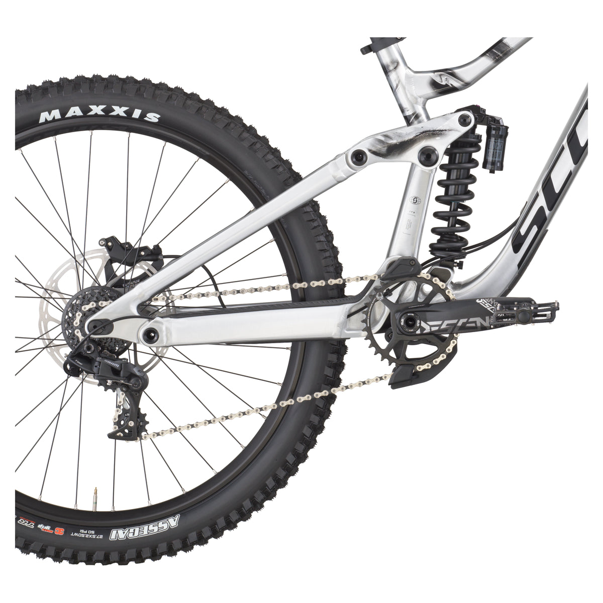 Scott 2026 Gambler 20